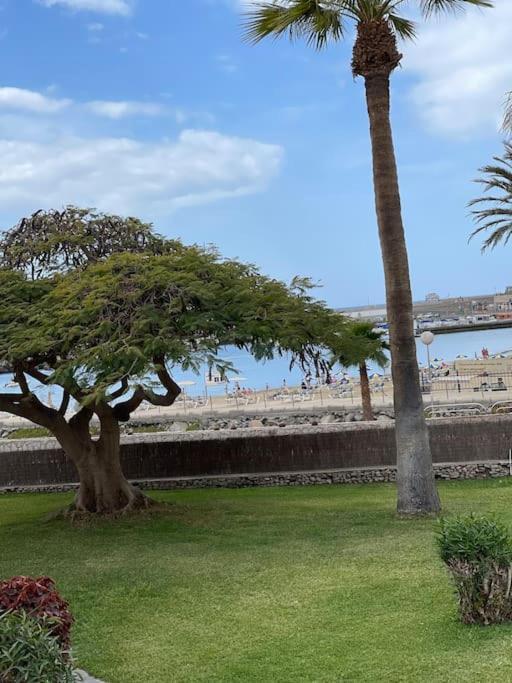 Apartamento Puerto Rico - Primera Linea De Playa Моган Экстерьер фото